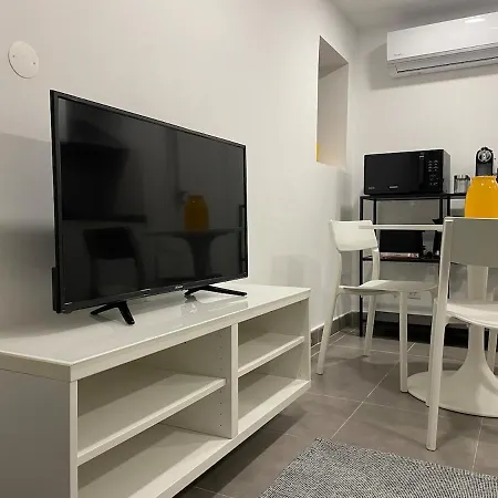 1881 Historical Loft With Garden