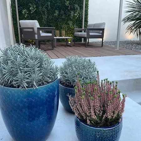 1881 Historical Loft With Garden Daire